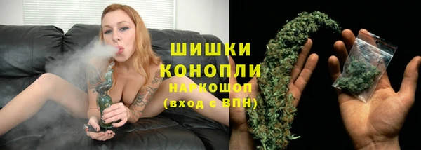 стафф Корсаков