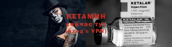 стафф Корсаков