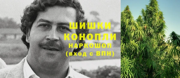 стафф Корсаков