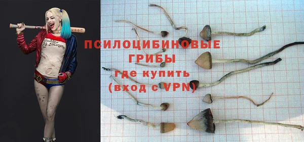 стафф Корсаков