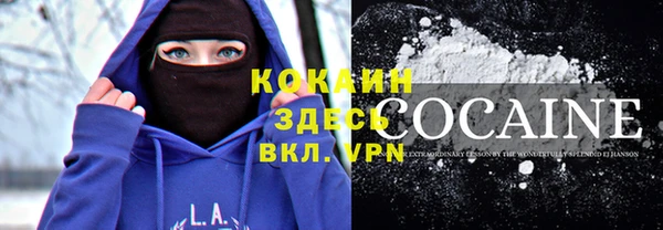 стафф Корсаков